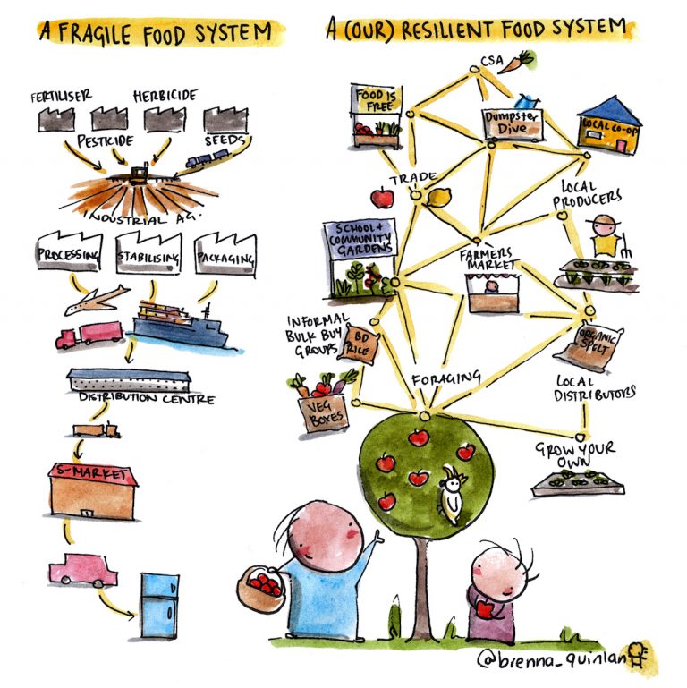 illustration of a resilient food system vs. a fragile food system by Brenna Quinlan