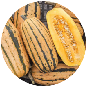 delicata squash, whole and halved, cropped into a circle
